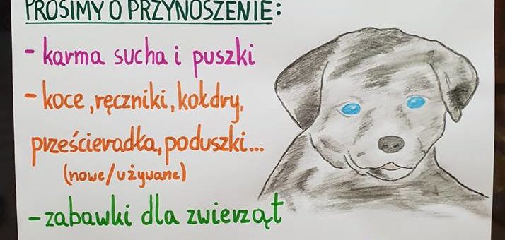 Pomagamy zwierzakom ze schroniska!