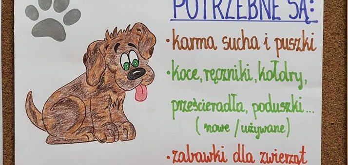Przypominamy o zbiórce dla Wrocławskiego Schroniska!