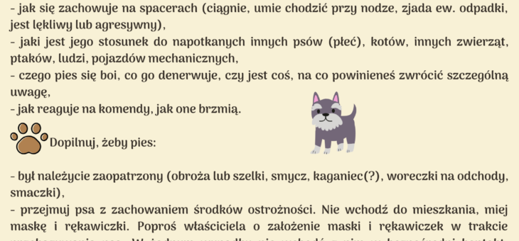 Krótka instrukcja, jak pomagać właścicielom psów będącym na kwarantannie #pupil