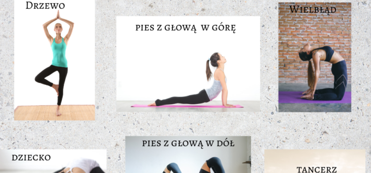 Jogowe inspiracje #ćwiczenia #altius