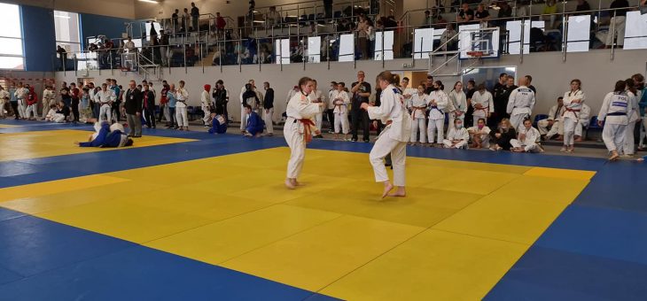 Grafik zajęć JUDO 2021/2022 #judo #altius #a&r