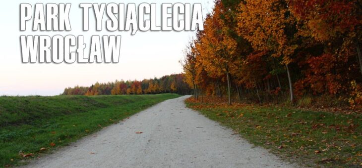 Sadzimy cebulki kwiatów w parku tysiąclecia we Wrocławiu. ZMIANA TERMINU! #altius #wroclaw