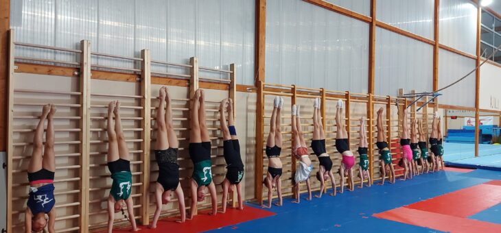 Projekt Pierwsze Kroki w Gimnastyce ! #PZG #altius
