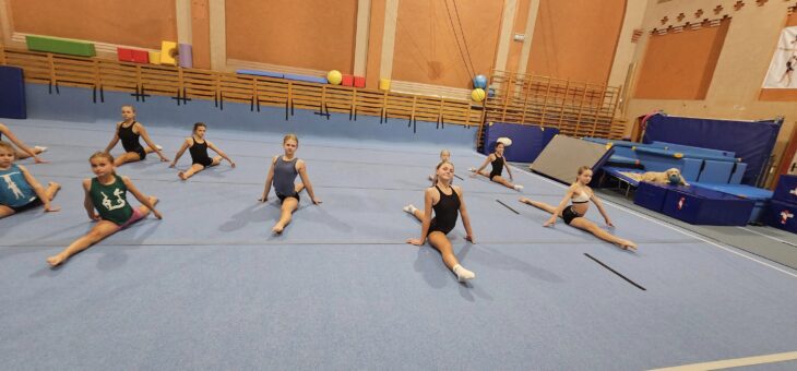 Projekt Pierwsze Kroki w gimnastyce #altius #wspolpraca #projekt #akrobatyka