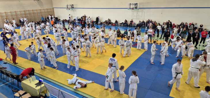 Mistrzostwa Dolnego Śląska w Judo 18.01.2025 Łagiewniki #judo #altius